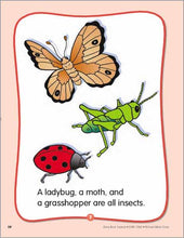 Load image into Gallery viewer, Evan-Moor Early Bird Insects Exercise Workbook for Preschoolers (Age 4-6)