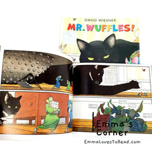 Load image into Gallery viewer, Mr Wuffles! by David Wiesner PB