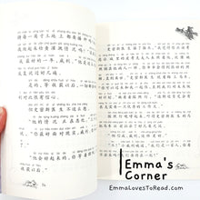 Load image into Gallery viewer, 国际大奖小说: 石狐 International Award Winning Children Short Novel American Winner Stone Fox with Hanyu Pinyin HYPY