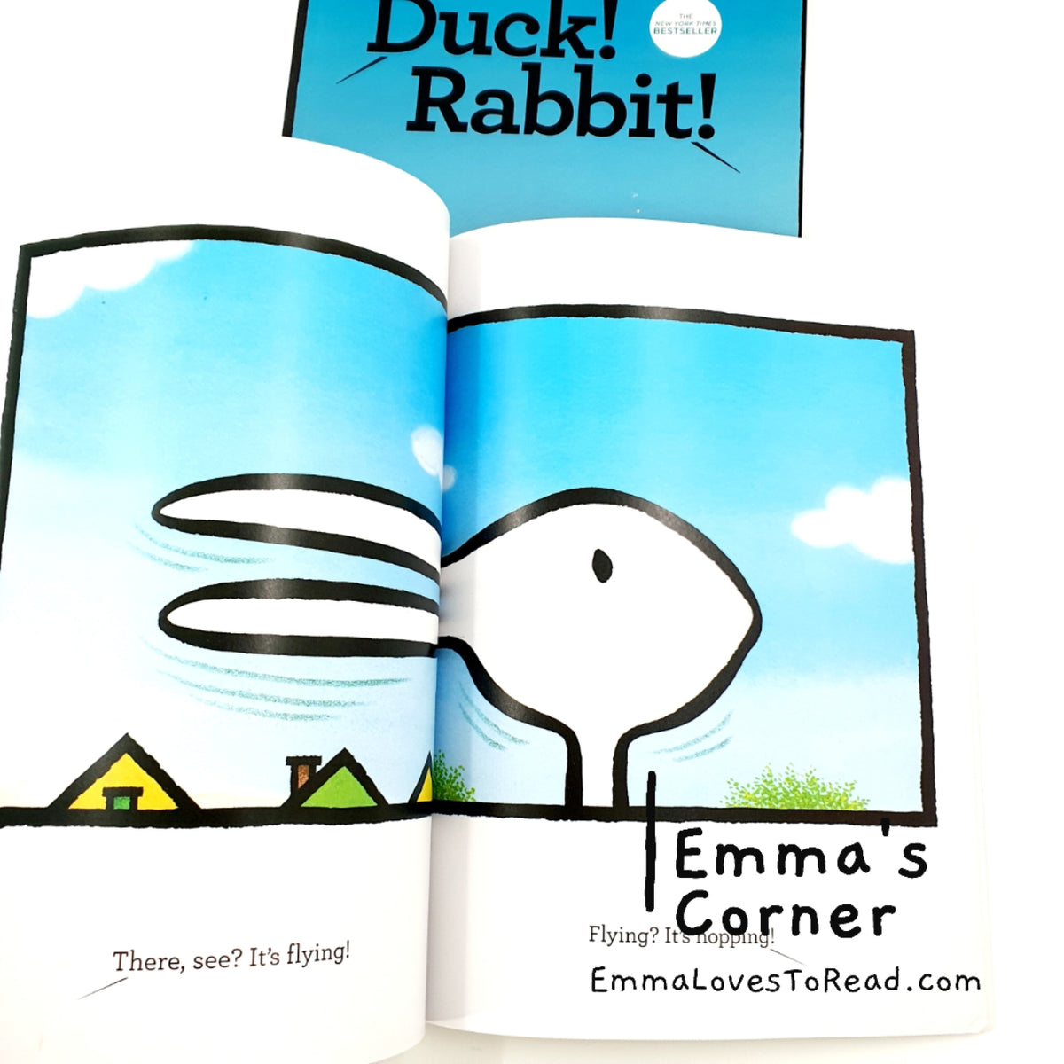 Duck! Rabbit! by Amy Krouse Rosenthal and Tom Lichtenheld Children