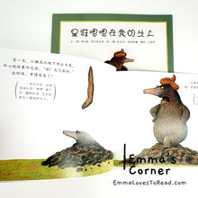 Load image into Gallery viewer, *Paperback* 是谁嗯嗯在我的头上 German Origin Chinese Children Picture Book PBC