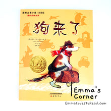 Load image into Gallery viewer, 国际大奖小说: 狗来了 International Award Winning Children Short Novel Austrian Winner with Hanyu Pinyin HYPY CHI