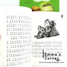 Load image into Gallery viewer, 国际大奖小说: 亲爱的汉修先生 International Award Winning Children Short Novel Dear Mr. Henshaw American Winner with Hanyu Pinyin HYPY CHI