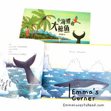 Load image into Gallery viewer, *Hardcover* 小海螺和大鲸鱼 The Snail and the Whale by Julia Donaldson Chinese Translated Children Picture Book PBC
