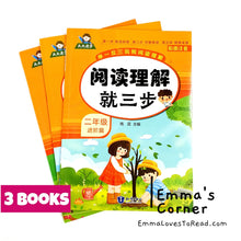 Load image into Gallery viewer, Chinese Reading Comprehension Practice for Primary 2 阅读理解 with Hanyu Pinyin HYPY CHI (3 books)
