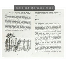 Load image into Gallery viewer, Roald Dahl Books