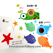 Load image into Gallery viewer, Bilingual Chinese English Interactive Board Books 好玩的认知洞洞书