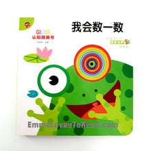 Load image into Gallery viewer, Bilingual Chinese English Interactive Board Books 好玩的认知洞洞书