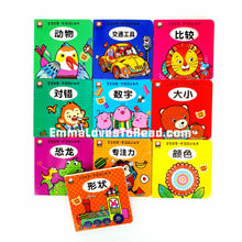 Load image into Gallery viewer, 宝宝的第一本洞洞认知书 Baby's First Bilingual Interactive Cognitive Board Book