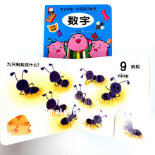 Load image into Gallery viewer, 宝宝的第一本洞洞认知书 Baby's First Bilingual Interactive Cognitive Board Book