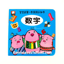 Load image into Gallery viewer, 宝宝的第一本洞洞认知书 Baby's First Bilingual Interactive Cognitive Board Book