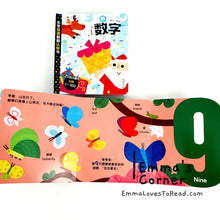 Load image into Gallery viewer, 乐学双语翻翻认知书 Bilingual Toddler Interactive Board Book