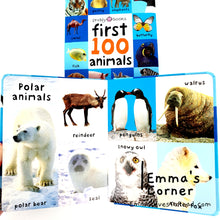 Load image into Gallery viewer, First 100 Animals Padded Board Book by Priddy Baby