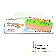 Load image into Gallery viewer, Sorting Box Wooden Toy