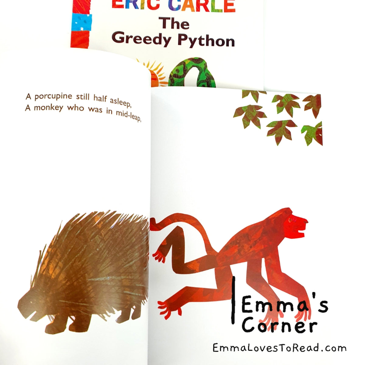 The Greedy Python by Eric Carle PB – Emma's Corner