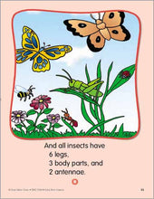 Load image into Gallery viewer, Evan-Moor Early Bird Insects Exercise Workbook for Preschoolers (Age 4-6)
