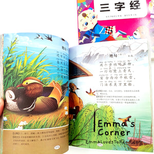 Basic Chinese Learning Books for Toddlers with HYPY 三字经/弟子规/唐诗300首/成语故事 (4 books)