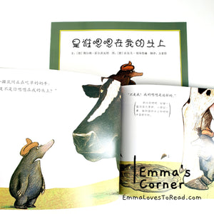 *Paperback* 是谁嗯嗯在我的头上 German Origin Chinese Children Picture Book PBC