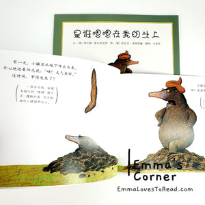 *Paperback* 是谁嗯嗯在我的头上 German Origin Chinese Children Picture Book PBC