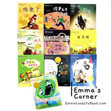 Load image into Gallery viewer, 国际大奖小说-男生篇 International Award Winning Children Novels for Boys (10 books)
