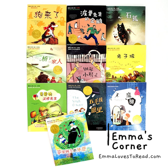 国际大奖小说-男生篇 International Award Winning Children Novels for Boys (10 books)