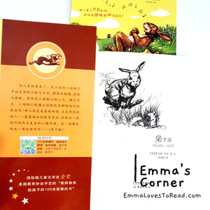 国际大奖小说: 兔子坡 International Award Winning Children Short Novel American Winner Rabbit Hill with Hanyu Pinyin HYPY CHI