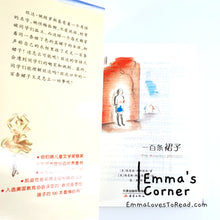 Load image into Gallery viewer, 国际大奖小说: 一百条裙子 International Award Winning Children Short Novel American Winner The Hundred Dresses with Hanyu Pinyin HYPY CHI
