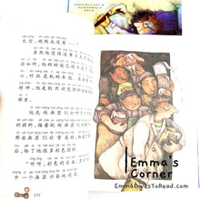 Load image into Gallery viewer, 国际大奖小说-女生篇 International Award Winning Children Novels for Girls (10 books)
