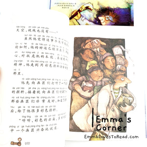 国际大奖小说-女生篇 International Award Winning Children Novels for Girls (10 books)