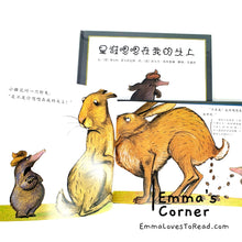 Load image into Gallery viewer, *Hardcover* 是谁嗯嗯在我的头上 German Origin Chinese Children Picture Book PBC
