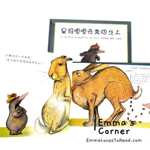 *Hardcover* 是谁嗯嗯在我的头上 German Origin Chinese Children Picture Book PBC