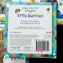 Load image into Gallery viewer, Usborne Baby’s Very First Little Book (4 books)
