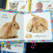 Load image into Gallery viewer, Usborne Baby’s Very First Little Book (4 books)
