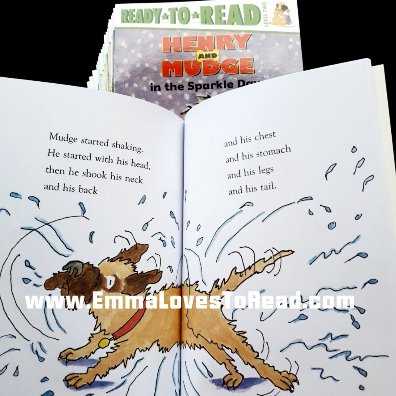 Ready to Read Level 2: Henry and Mudge (28 books) – Emma's Corner
