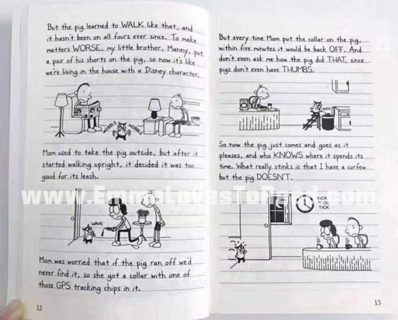 Diary Of A Wimpy Kid #7: The Third Wheel – Emma's Corner