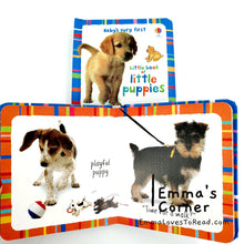 Load image into Gallery viewer, Usborne Baby&#39;s Very First Little Book of Little Puppies Board Book
