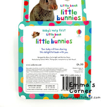 Load image into Gallery viewer, Usborne Baby&#39;s Very First Little Book of Little Bunnies Board Book
