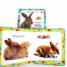 Load image into Gallery viewer, Usborne Baby&#39;s Very First Little Book of Little Bunnies Board Book
