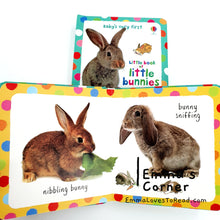 Load image into Gallery viewer, Usborne Baby&#39;s Very First Little Book of Little Bunnies Board Book
