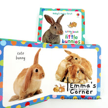 Load image into Gallery viewer, Usborne Baby&#39;s Very First Little Book of Little Bunnies Board Book
