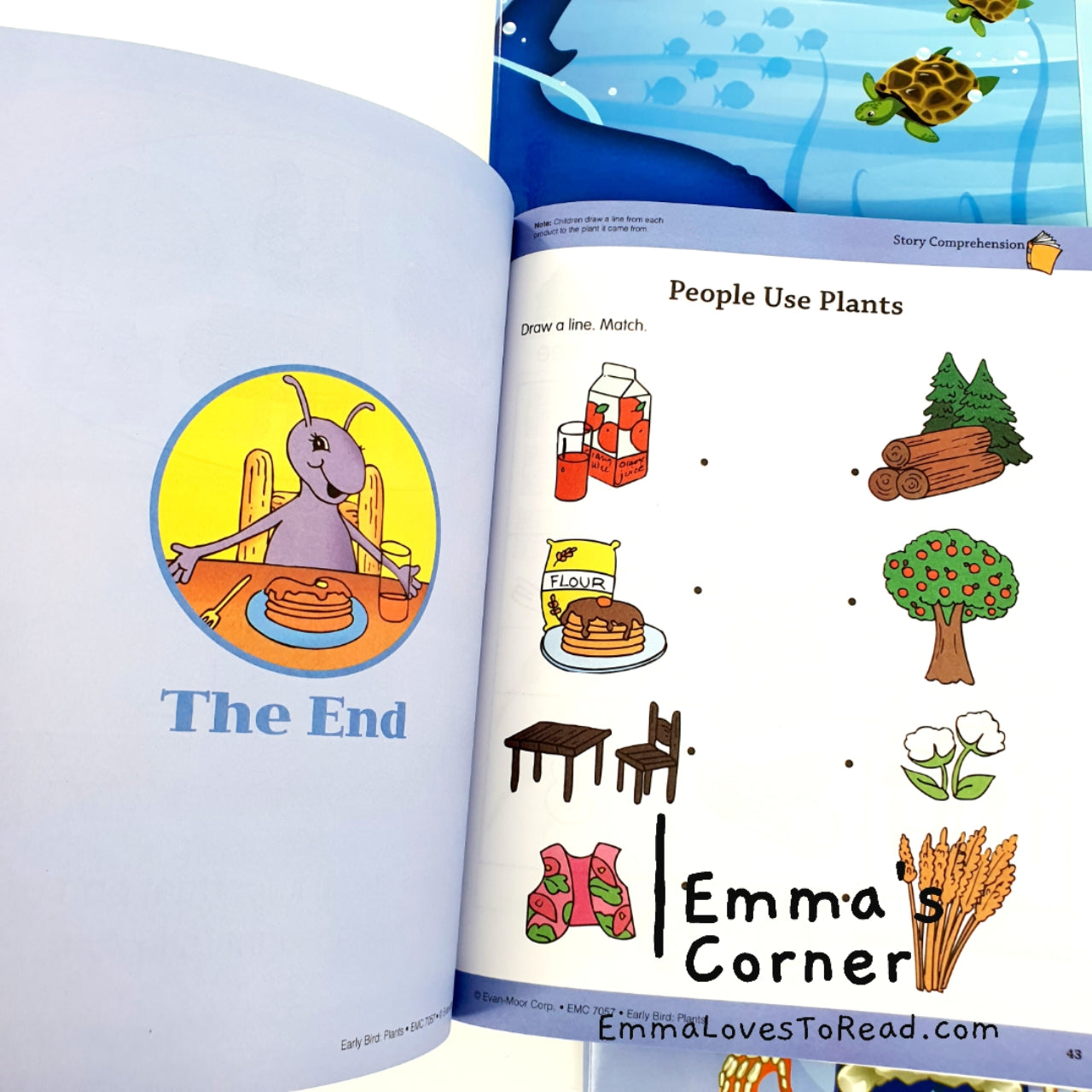 Evan-Moor Early Bird Workbook Series (8 books) – Emma's Corner