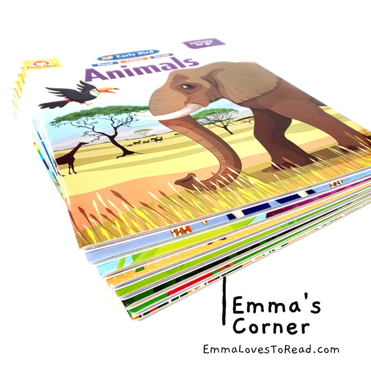 Evan-Moor Early Bird Workbook Series (8 books) – Emma's Corner