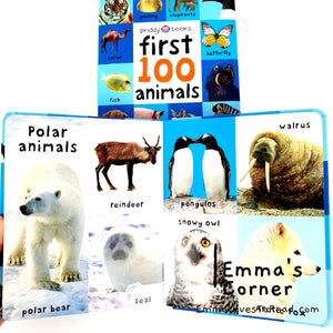 First 100 Animals Padded Board Book by Priddy Baby