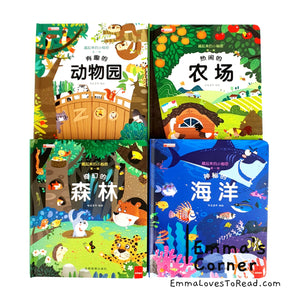 Chinese Lift the Flap Books 藏起来的小秘密3D立体翻翻书