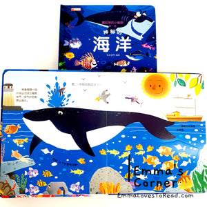 Chinese Lift the Flap Books 藏起来的小秘密3D立体翻翻书